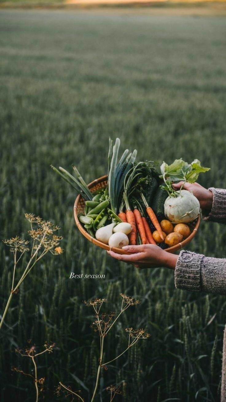 Harvest Bounty: Fresh-Picked Garden Delights